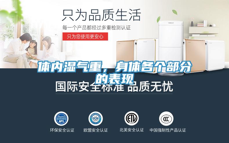 体内湿气重，身体各个部分的表现