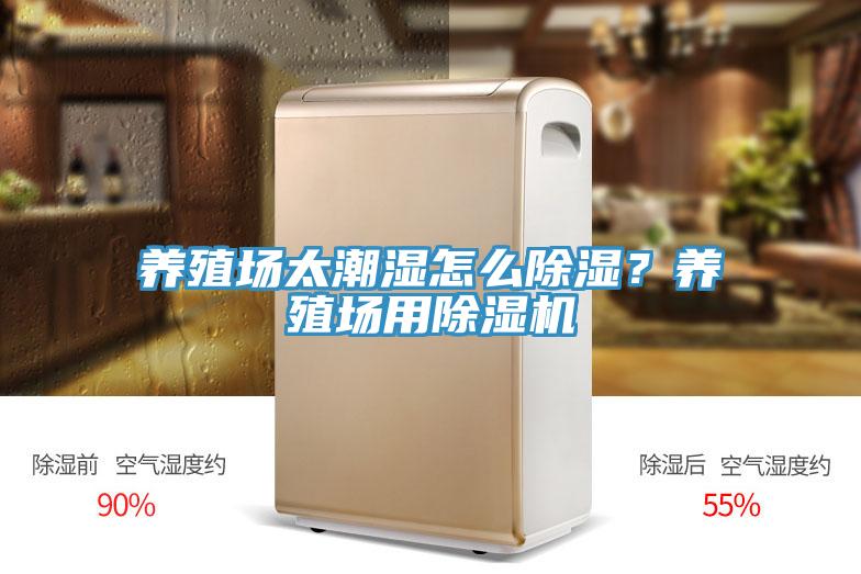 养殖场太潮湿怎么除湿？养殖场用除湿机