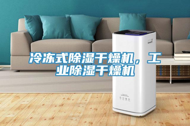 冷冻式除湿干燥机，工业除湿干燥机