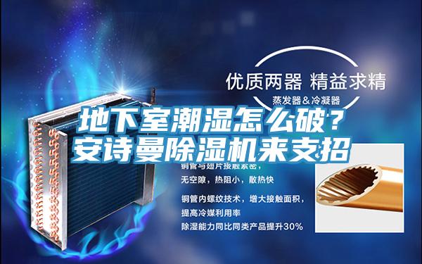 地下室潮湿怎么破？安诗曼除湿机来支招