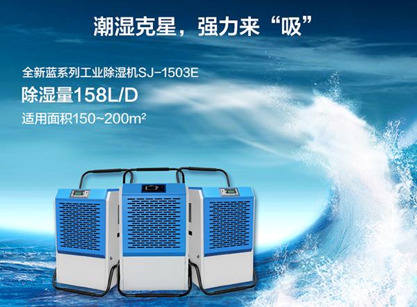 南方进入回南天，多肉植物这样养才不会有事！
