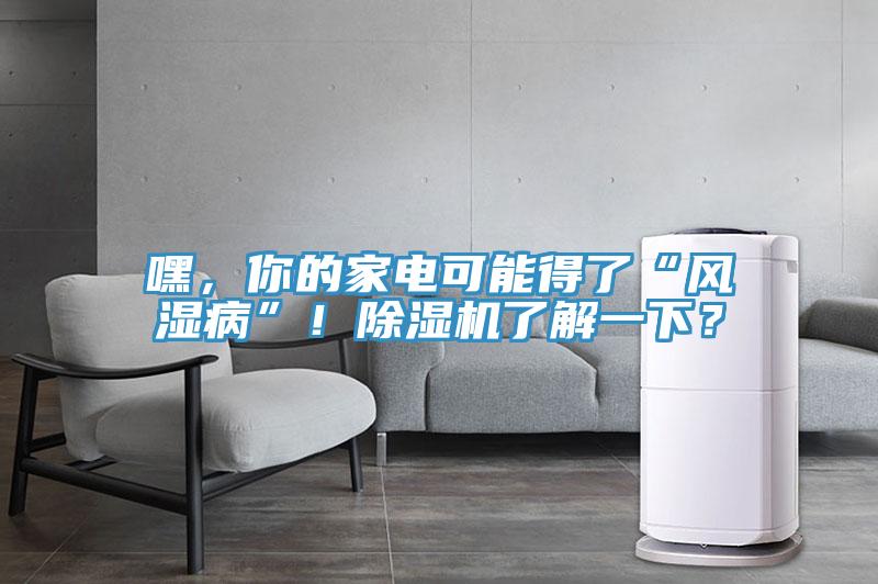 嘿，你的家电可能得了“风湿病”！除湿机了解一下？