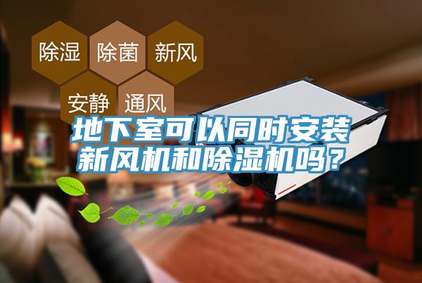地下室可以同时安装新风机和除湿机吗？