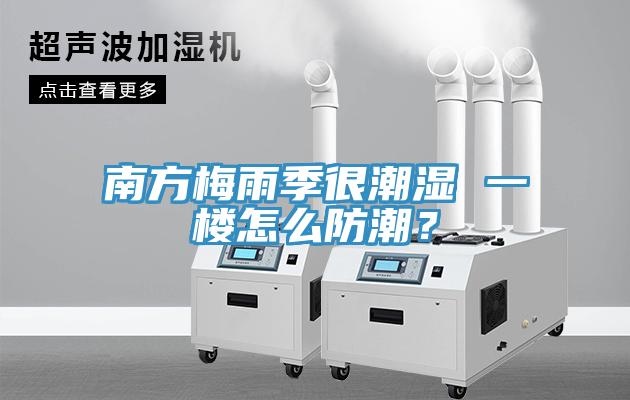 南方梅雨季很潮濕 一樓怎么防潮？