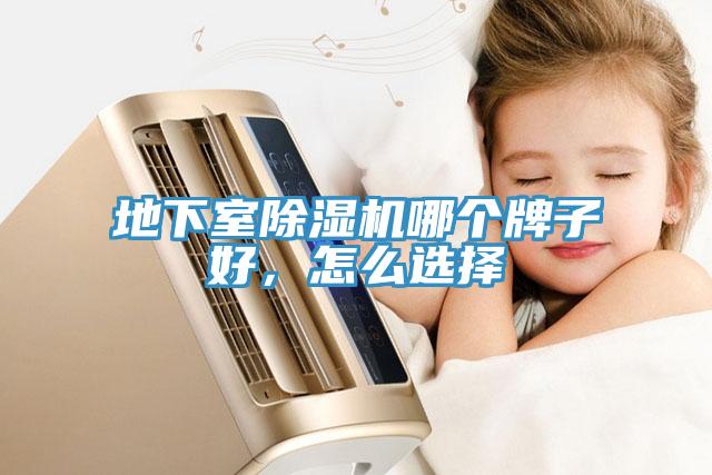 地下室除湿机哪个牌子好，怎么选择