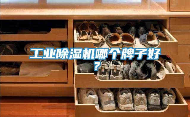 工业除湿机哪个牌子好？