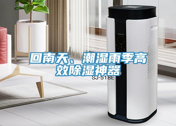 回南天、潮湿雨季高效除湿神器