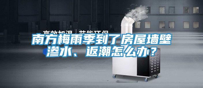 南方梅雨季到了房屋墙壁渗水、返潮怎么办？