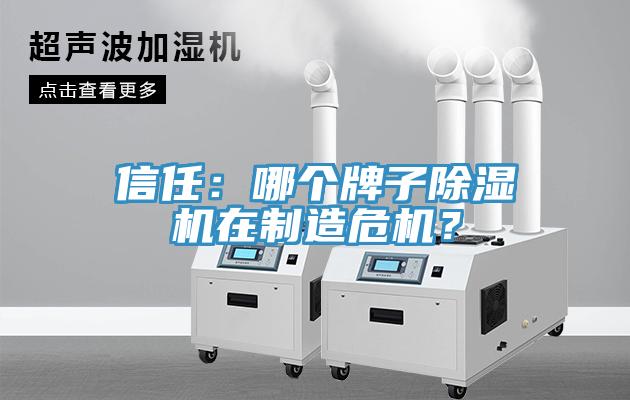 信任：哪个牌子除湿机在制造?；?？