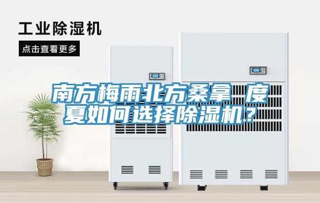 南方梅雨北方桑拿 度夏如何选择除湿机？