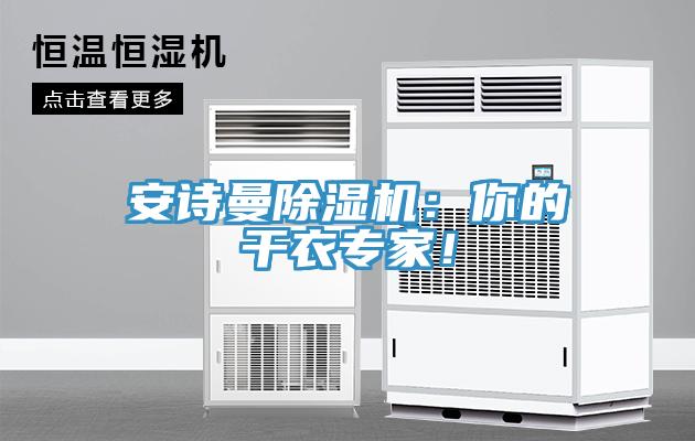 安诗曼除湿机：你的干衣专家！