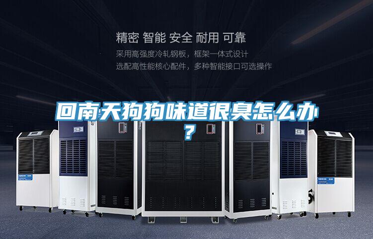 回南天狗狗味道很臭怎么办？