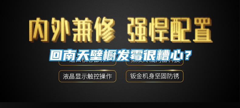 回南天壁橱发霉很糟心？