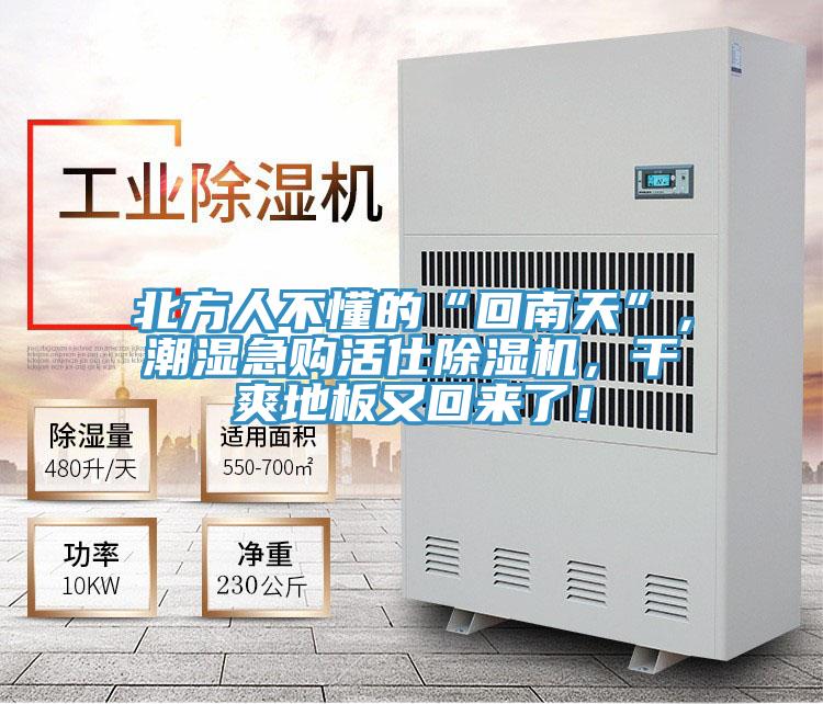 北方人不懂的“回南天”，潮湿急购活仕除湿机，干爽地板又回来了！