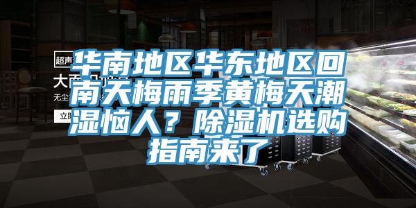 华南地区华东地区回南天梅雨季黄梅天潮湿恼人？除湿机选购指南来了