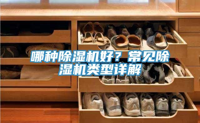 哪种除湿机好？常见除湿机类型详解