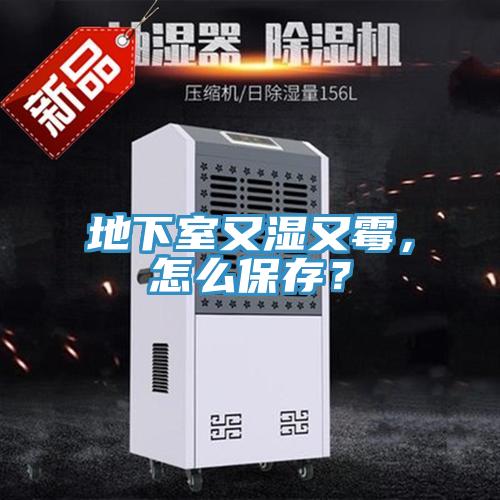 地下室又濕又霉，怎么保存？