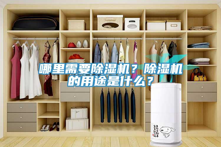 哪里需要除湿机？除湿机的用途是什么？