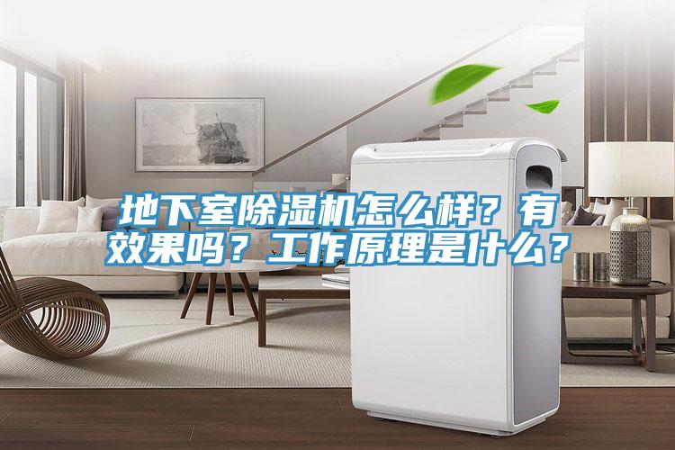地下室除湿机怎么样？有效果吗？工作原理是什么？