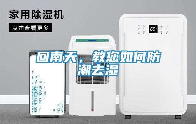回南天，教您如何防潮去湿