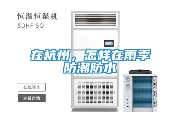 在杭州，怎样在雨季防潮防水
