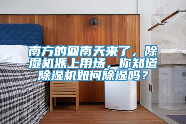 南方的回南天来了，除湿机派上用场，你知道除湿机如何除湿吗？