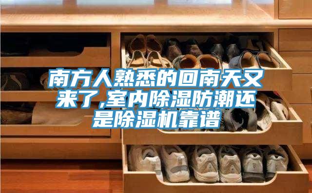 南方人熟悉的回南天又来了,室内除湿防潮还是除湿机靠谱