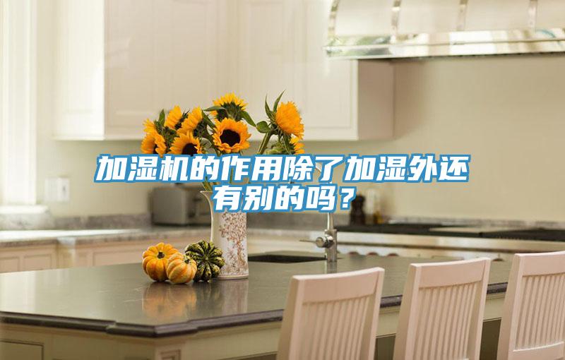 加湿机的作用除了加湿外还有别的吗？