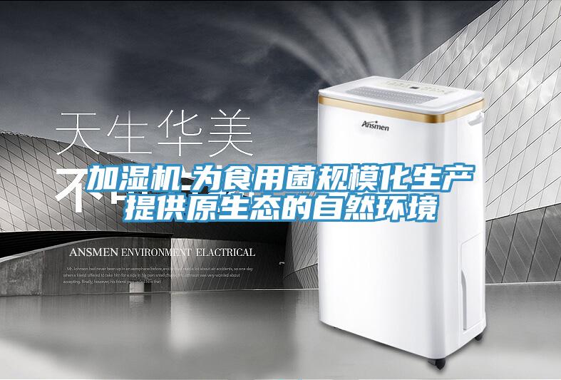 加湿机　为食用菌规?；峁┰淖匀换肪?></div>
								<div class=