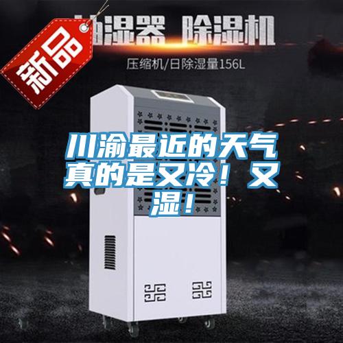 川渝最近的天气真的是又冷！又湿！
