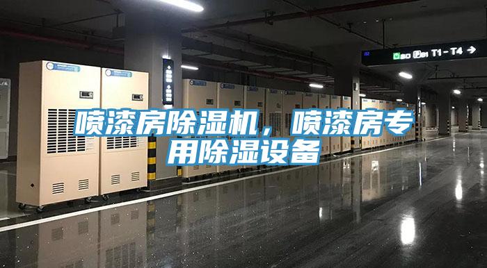 喷漆房除湿机，喷漆房专用除湿设备