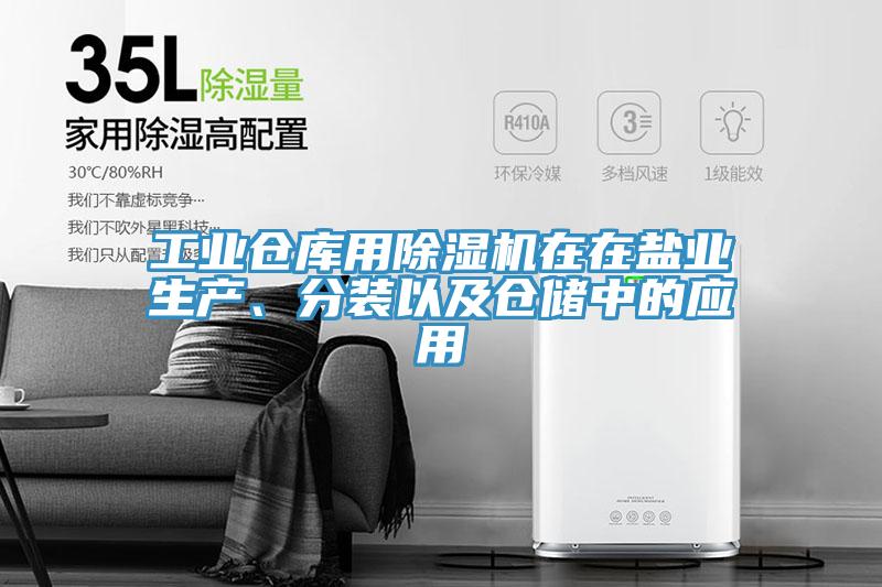 工业仓库用除湿机在在盐业生产、分装以及仓储中的应用