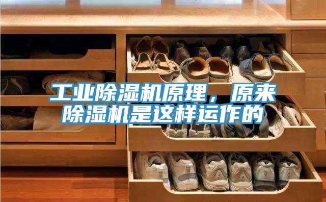 工业除湿机原理，原来除湿机是这样运作的