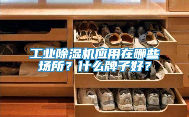 工业除湿机应用在哪些场所？什么牌子好？