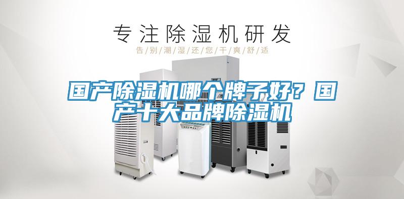 国产除湿机哪个牌子好？国产十大品牌除湿机