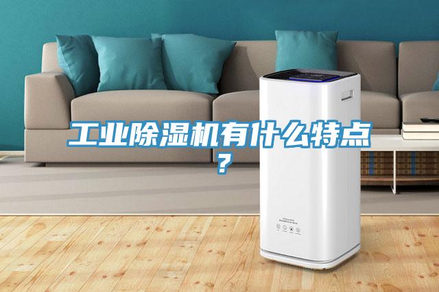 工业除湿机有什么特点？