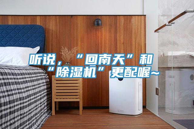 听说，“回南天”和“除湿机”更配喔~