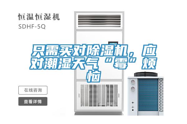 只需买对除湿机，应对潮湿天气“霉”烦恼