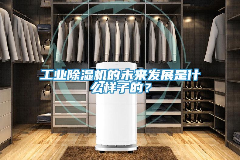 工业除湿机的未来发展是什么样子的？