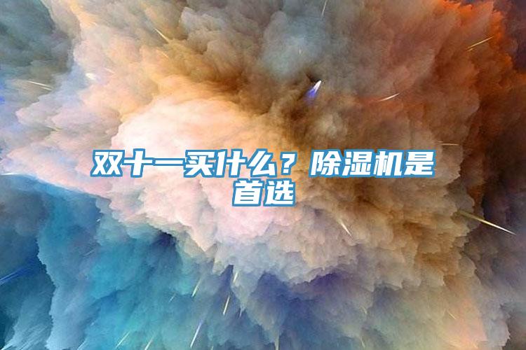双十一买什么？除湿机是首选
