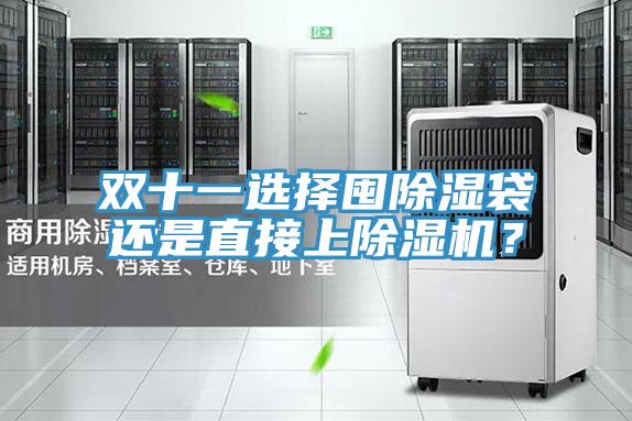双十一选择囤除湿袋还是直接上除湿机？