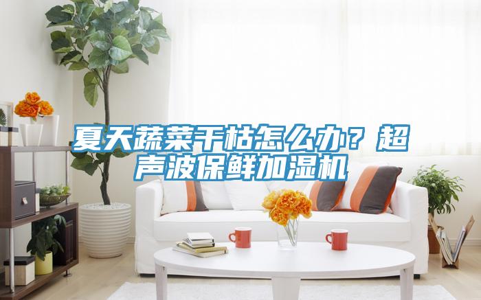 夏天蔬菜干枯怎么办？超声波保鲜加湿机