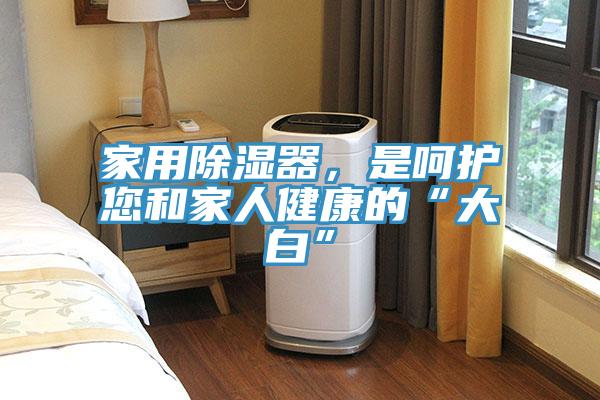 家用除湿器，是呵护您和家人健康的“大白”