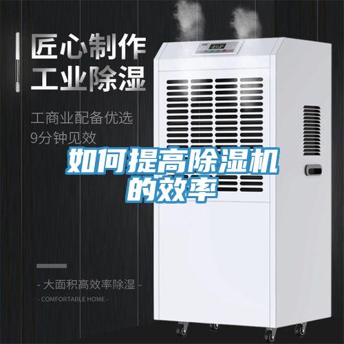 如何提高除湿机的效率
