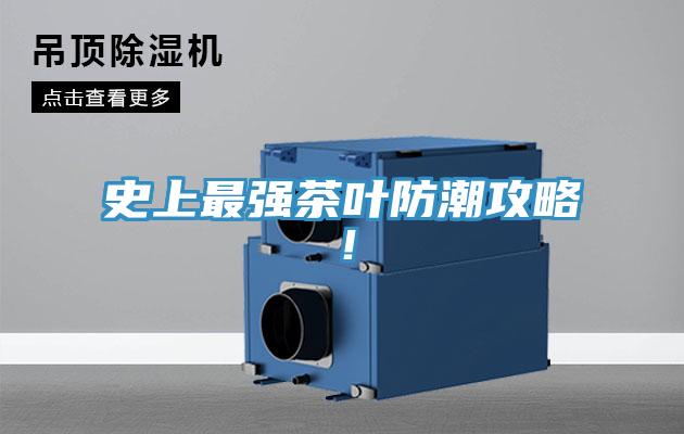 史上最强茶叶防潮攻略！