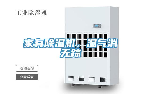 家有除湿机，湿气消无踪