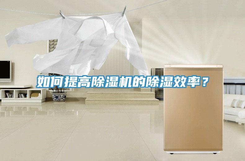 如何提高除湿机的除湿效率？