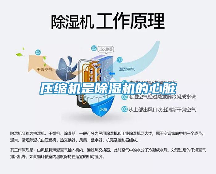 压缩机是除湿机的心脏
