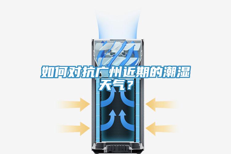 如何对抗广州近期的潮湿天气？