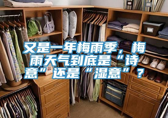 又是一年梅雨季，梅雨天气到底是“诗意”还是“湿意”？